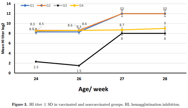 Protective efficacy of the Newcastle disease virus genotype VII–matched vaccine in commercial layers - Image 5