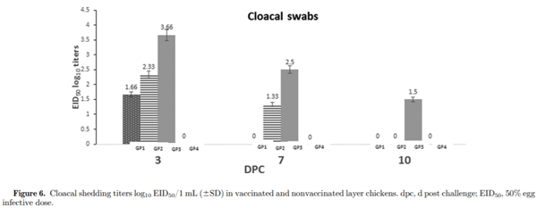 Protective efficacy of the Newcastle disease virus genotype VII–matched vaccine in commercial layers - Image 8