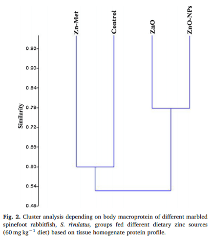 Growth performance, anti-oxidative status, innate immunity, and ammonia stress resistance of Siganus rivulatus fed diet supplemented with zinc and zinc nanoparticles - Image 7