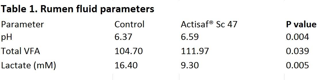 Yeast probiotic Actisaf® Sc 47 boosts milk production in early-lactation dairy cows - Image 2