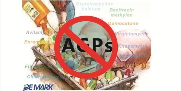 How New Agps-Ban regulation impact Feed and Husbandry Industry - Image 1