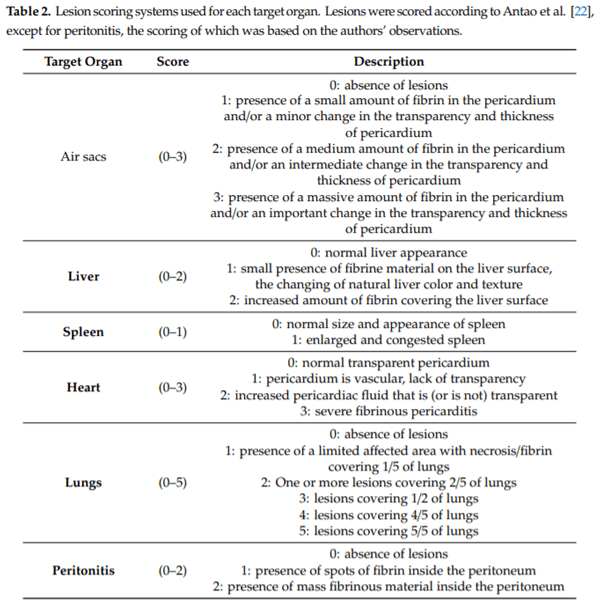 An Assessment of the Level of Protection Against Colibacillosis Conferred by Several Autogenous and/or Commercial Vaccination Programs in Conventional Pullets upon Experimental Challenge - Image 2