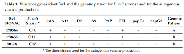 An Assessment of the Level of Protection Against Colibacillosis Conferred by Several Autogenous and/or Commercial Vaccination Programs in Conventional Pullets upon Experimental Challenge - Image 1