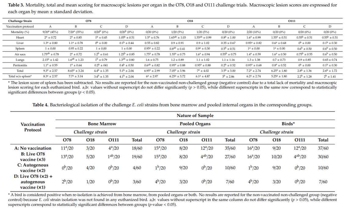 An Assessment of the Level of Protection Against Colibacillosis Conferred by Several Autogenous and/or Commercial Vaccination Programs in Conventional Pullets upon Experimental Challenge - Image 3