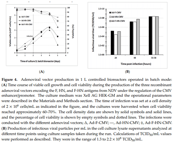 Establishing a Robust Manufacturing Platform for Recombinant Veterinary Vaccines: An Adenovirus-Vector Vaccine to Control Newcastle Disease Virus Infections of Poultry in Sub-Saharan Africa - Image 5