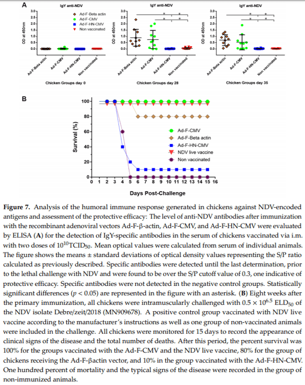 Establishing a Robust Manufacturing Platform for Recombinant Veterinary Vaccines: An Adenovirus-Vector Vaccine to Control Newcastle Disease Virus Infections of Poultry in Sub-Saharan Africa - Image 10