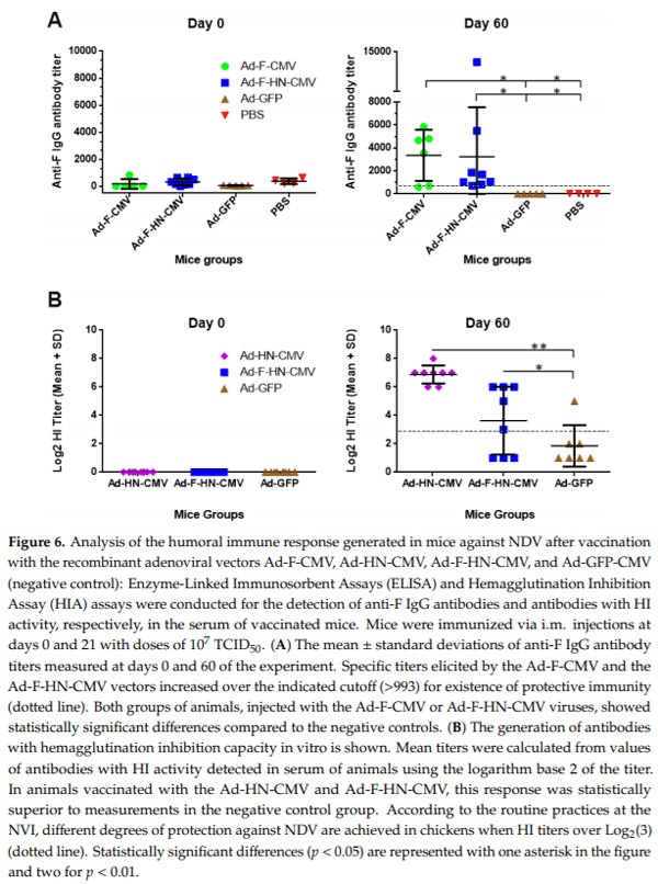 Establishing a Robust Manufacturing Platform for Recombinant Veterinary Vaccines: An Adenovirus-Vector Vaccine to Control Newcastle Disease Virus Infections of Poultry in Sub-Saharan Africa - Image 9