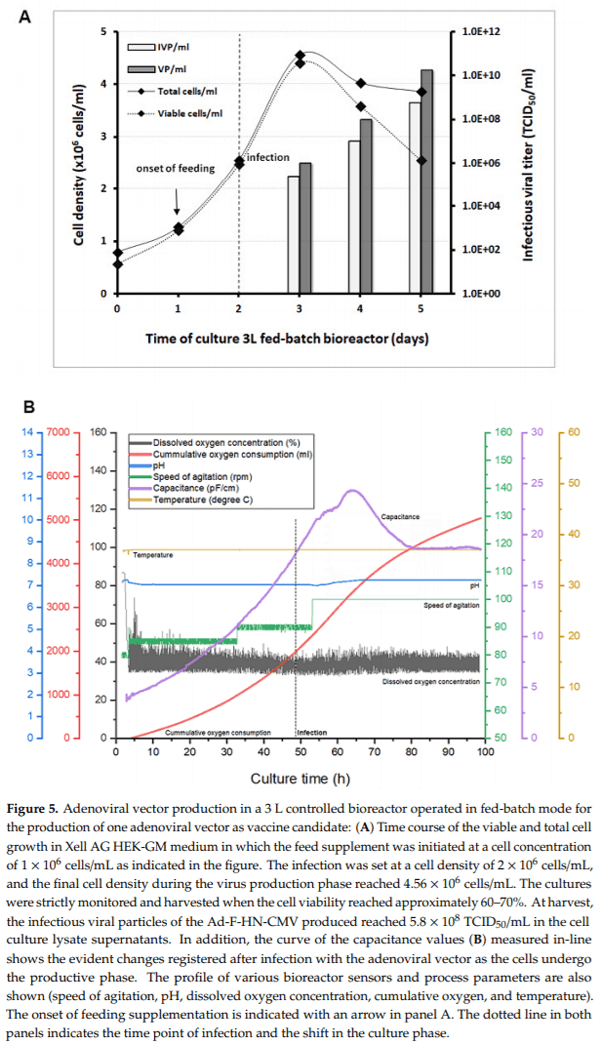 Establishing a Robust Manufacturing Platform for Recombinant Veterinary Vaccines: An Adenovirus-Vector Vaccine to Control Newcastle Disease Virus Infections of Poultry in Sub-Saharan Africa - Image 7