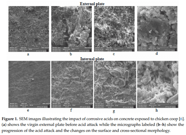 Durability Issues and Corrosion of Structural Materials and Systems in Farm Environment - Image 4