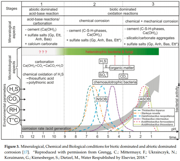 Durability Issues and Corrosion of Structural Materials and Systems in Farm Environment - Image 7