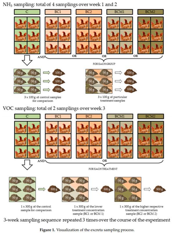 Laying Hens Biochar Diet Supplementation—Effect on Performance, Excreta N Content, NH3 and VOCs Emissions, Egg Traits and Egg Consumers Acceptance - Image 3