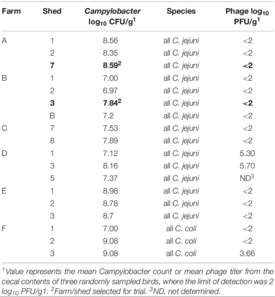 Bacteriophages to Control Campylobacter in Commercially Farmed Broiler Chickens, in Australia - Image 3