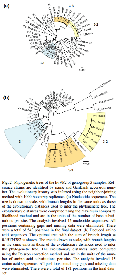Classification of infectious bursal disease virus into genogroups - Image 4