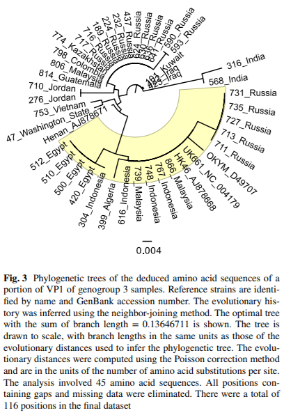 Classification of infectious bursal disease virus into genogroups - Image 5
