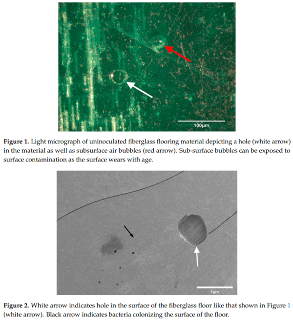 Use of Foaming Disinfectants and Cleaners to Reduce Aerobic Bacteria and Salmonella on Poultry Transport Coops - Image 6