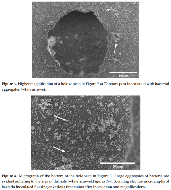 Use of Foaming Disinfectants and Cleaners to Reduce Aerobic Bacteria and Salmonella on Poultry Transport Coops - Image 7