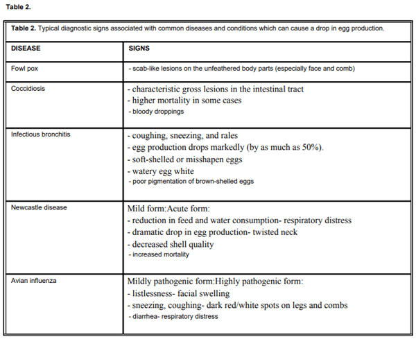 Factors Affecting Egg Production in Backyard Chicken Flocks - Image 5