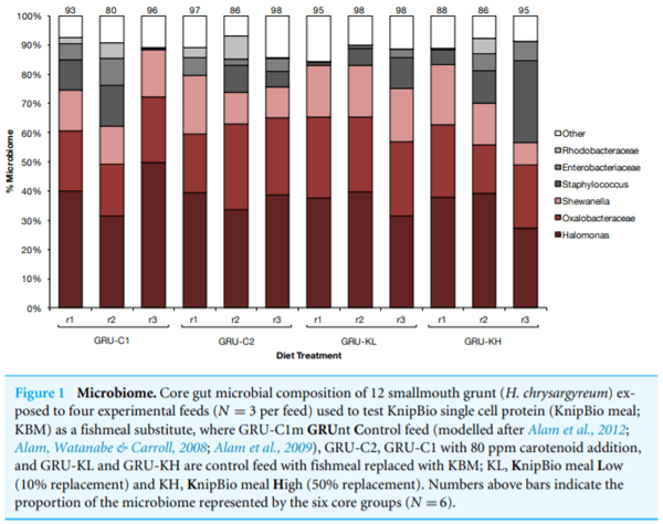 A transdisciplinary approach to the initial validation of a single cell protein as an alternative protein source for use in aquafeeds - Image 5