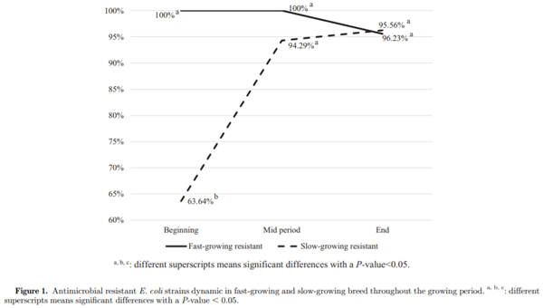 The dynamic of antibiotic resistance in commensal Escherichia coli throughout the growing period in broiler chickens: fast-growing vs. slow-growing breeds - Image 1