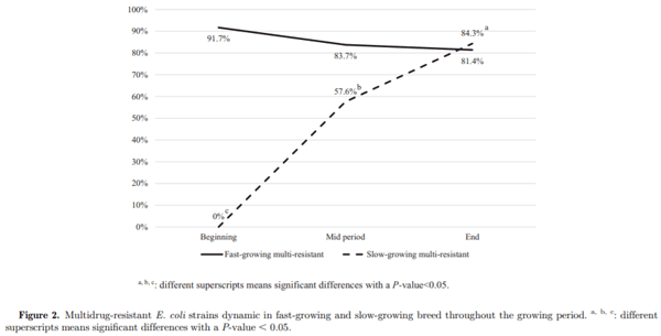 The dynamic of antibiotic resistance in commensal Escherichia coli throughout the growing period in broiler chickens: fast-growing vs. slow-growing breeds - Image 3
