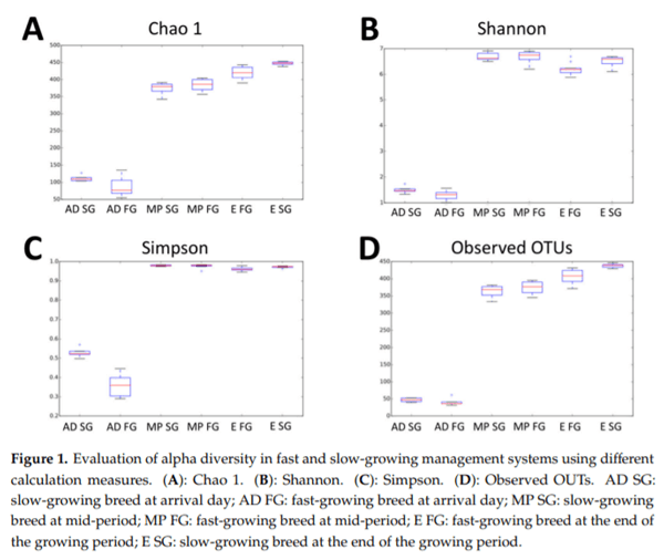 Fast and Slow-Growing Management Systems: Characterisation of Broiler Caecal Microbiota Development throughout the Growing Period - Image 3