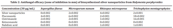 Biosynthesis and Characterization of Silver Nanoparticles from Marine Macroscopic Red Seaweed Halymenia Porphyroides Boergesen (Crypton) and its Antifungal Efficacy Against Dermatophytic and Non-Dermatophytic Fungi - Image 7