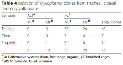 Investigation on eggshell apex abnormality (EAA) syndrome in France: isolation of Mycoplasma synoviae is frequently associated with Mycoplasma pullorum - Image 6