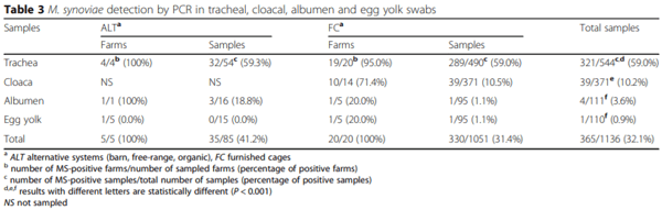 Investigation on eggshell apex abnormality (EAA) syndrome in France: isolation of Mycoplasma synoviae is frequently associated with Mycoplasma pullorum - Image 5