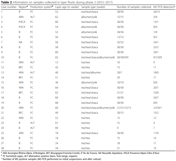 Investigation on eggshell apex abnormality (EAA) syndrome in France: isolation of Mycoplasma synoviae is frequently associated with Mycoplasma pullorum - Image 4