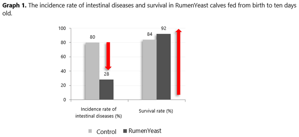 Stress in the early days of calves: how to overcome this challenge? - Image 1