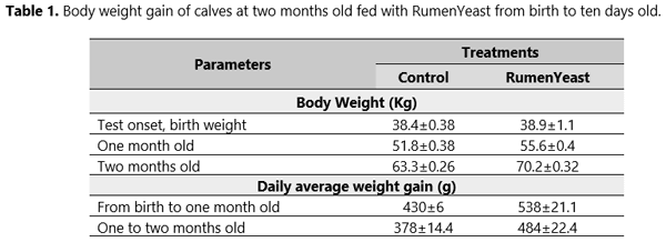 Stress in the early days of calves: how to overcome this challenge? - Image 2