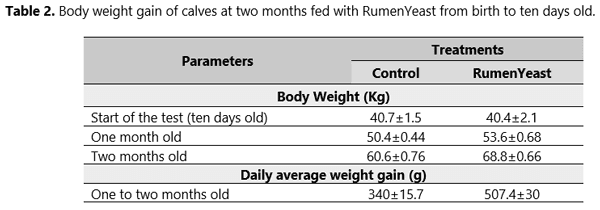 Stress in the early days of calves: how to overcome this challenge? - Image 5