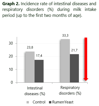 Stress in the early days of calves: how to overcome this challenge? - Image 3