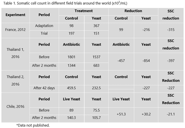 High somatic cell counts: the silent herd problem - Image 1