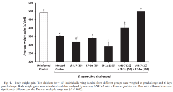 Eimeria tenella Elongation Factor-1a (EF-1a) Coadministered with Chicken IL-7 (chIL-7) DNA Vaccine Emulsified in Montanide Gel 01 Adjuvant Enhanced the Immune Response to E. acervulina Infection in Broiler Chickens - Image 5