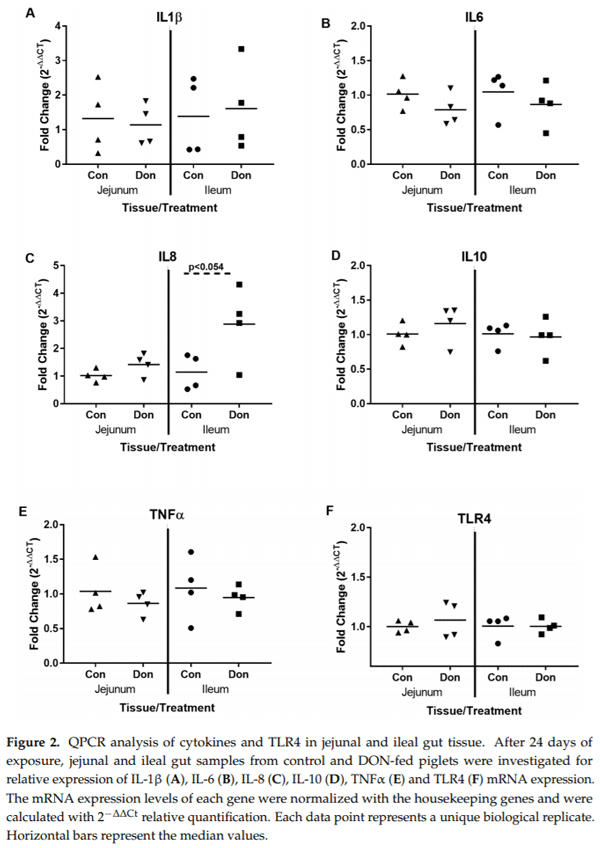 Molecular and Physiological Effects on the Small Intestine of Weaner Pigs Following Feeding with Deoxynivalenol-Contaminated Feed - Image 3