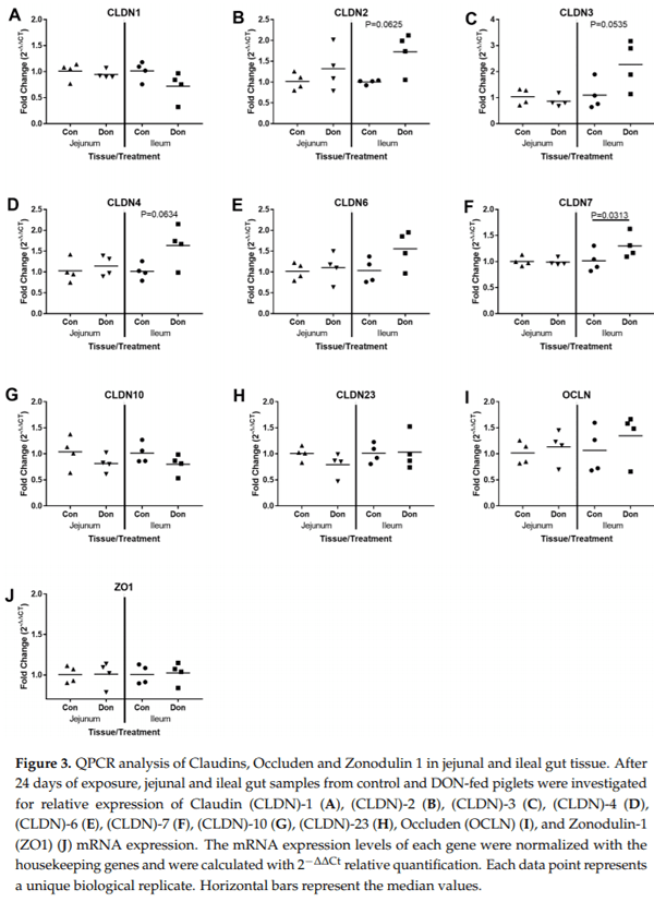 Molecular and Physiological Effects on the Small Intestine of Weaner Pigs Following Feeding with Deoxynivalenol-Contaminated Feed - Image 4