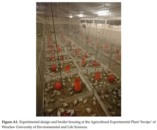 Effect of Biochar Diet Supplementation on Chicken Broilers Performance, NH3 and Odor Emissions and Meat Consumer Acceptance - Image 7