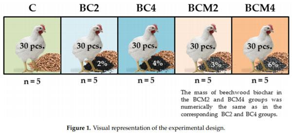 Effect of Biochar Diet Supplementation on Chicken Broilers Performance, NH3 and Odor Emissions and Meat Consumer Acceptance - Image 2
