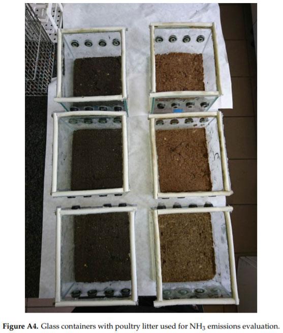 Effect of Biochar Diet Supplementation on Chicken Broilers Performance, NH3 and Odor Emissions and Meat Consumer Acceptance - Image 10