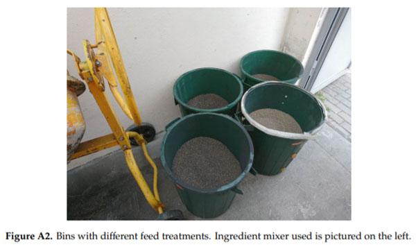 Effect of Biochar Diet Supplementation on Chicken Broilers Performance, NH3 and Odor Emissions and Meat Consumer Acceptance - Image 8