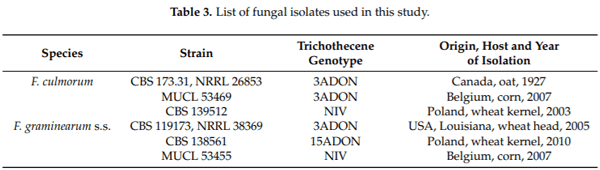 trans-Cinnamic and Chlorogenic Acids Affect the Secondary Metabolic Profiles and Ergosterol Biosynthesis by Fusarium culmorum and F. graminearum Sensu Stricto - Image 4