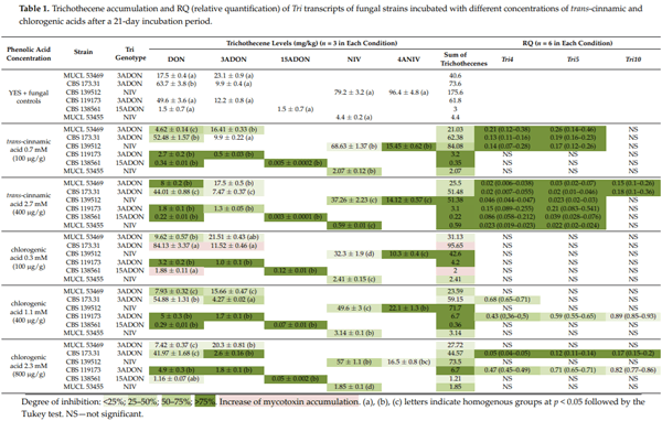 trans-Cinnamic and Chlorogenic Acids Affect the Secondary Metabolic Profiles and Ergosterol Biosynthesis by Fusarium culmorum and F. graminearum Sensu Stricto - Image 2