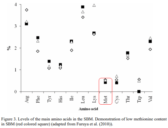 Exploring the nutritional potential of L-methionine in fish nutrition - Image 5