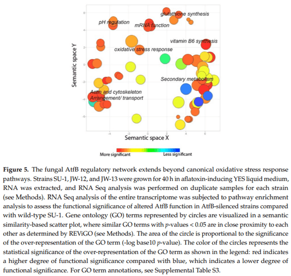 The Fungal bZIP Transcription Factor AtfB Controls Virulence-Associated Processes in Aspergillus parasiticus - Image 5