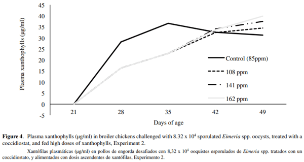 Effect of the infection with Eimeria acervulina, E. maxima and E. tenella on pigment absorption and skin deposition in broiler chickens - Image 7