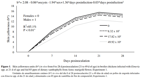 Effect of the infection with Eimeria acervulina, E. maxima and E. tenella on pigment absorption and skin deposition in broiler chickens - Image 2