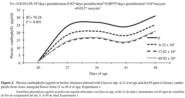 Effect of the infection with Eimeria acervulina, E. maxima and E. tenella on pigment absorption and skin deposition in broiler chickens - Image 4