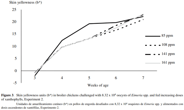 Effect of the infection with Eimeria acervulina, E. maxima and E. tenella on pigment absorption and skin deposition in broiler chickens - Image 6
