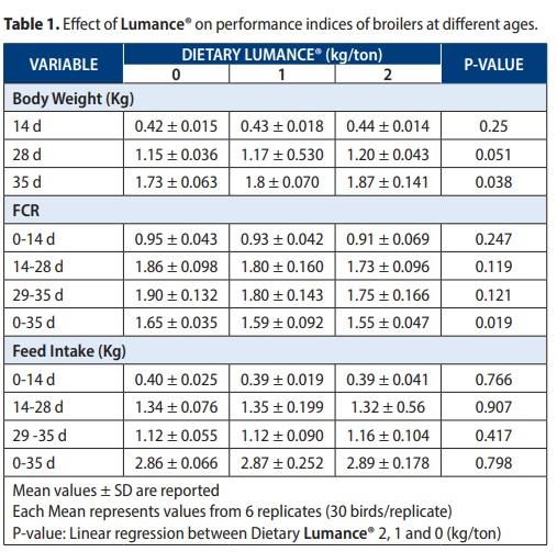 Growth promotion and alleviation of chronic intestinal inflammation by Lumance® in broilers under a dietary challenge - Image 3